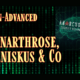 Anarcho-Code; Gonarthrose, Meniskus und Co.